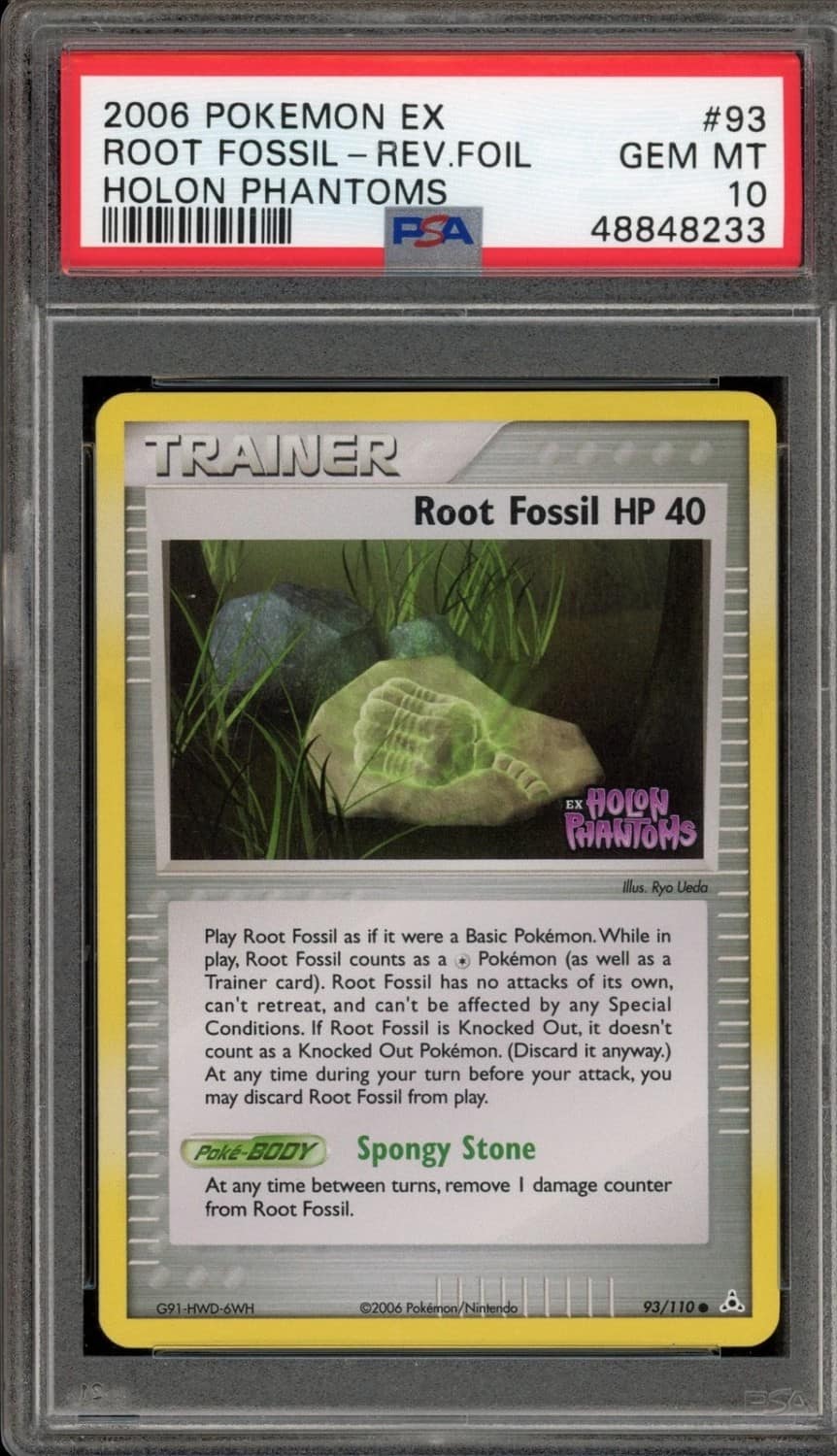 Root Fossil