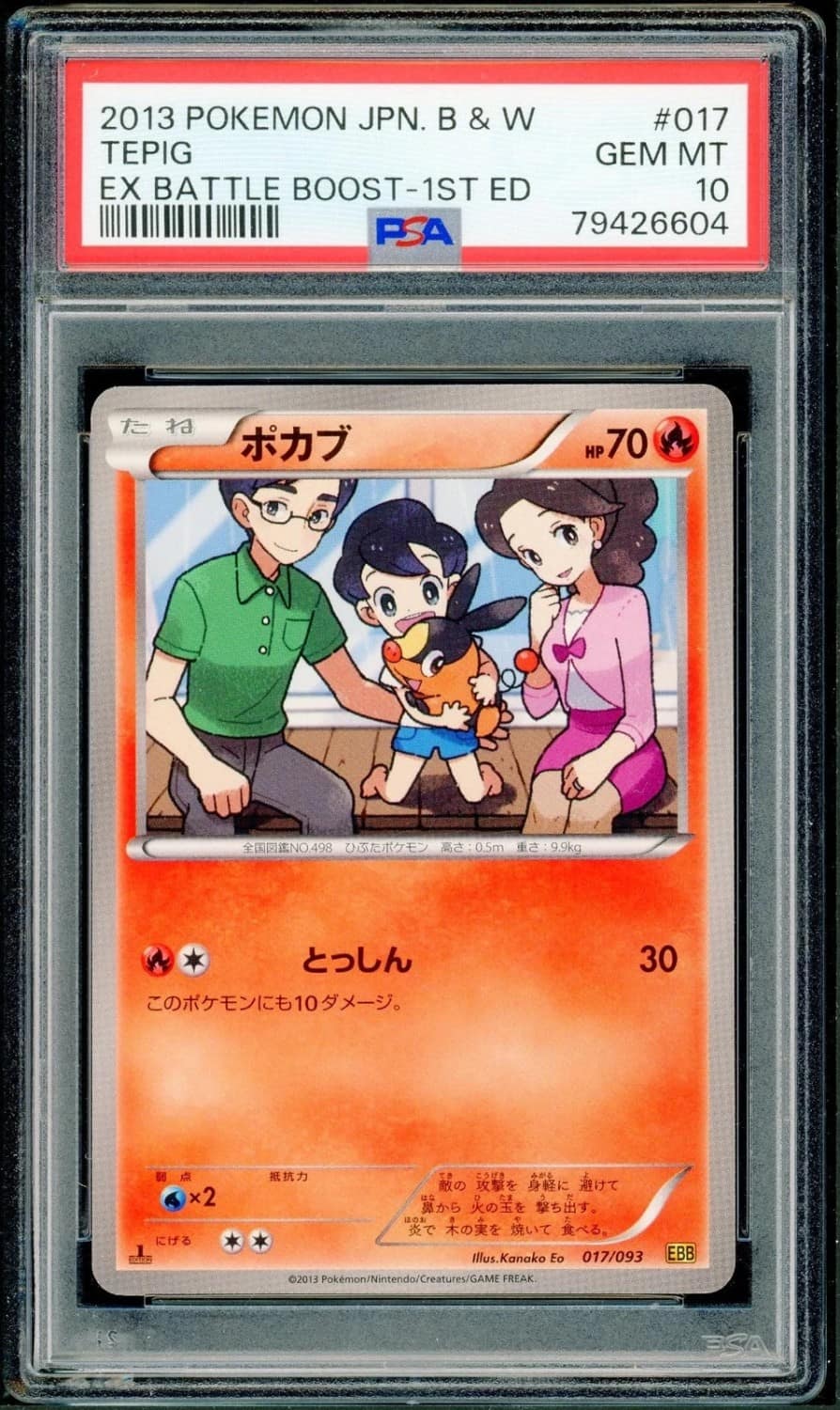 Tepig