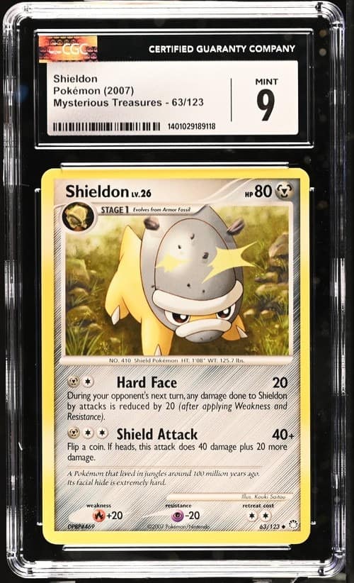 Shieldon