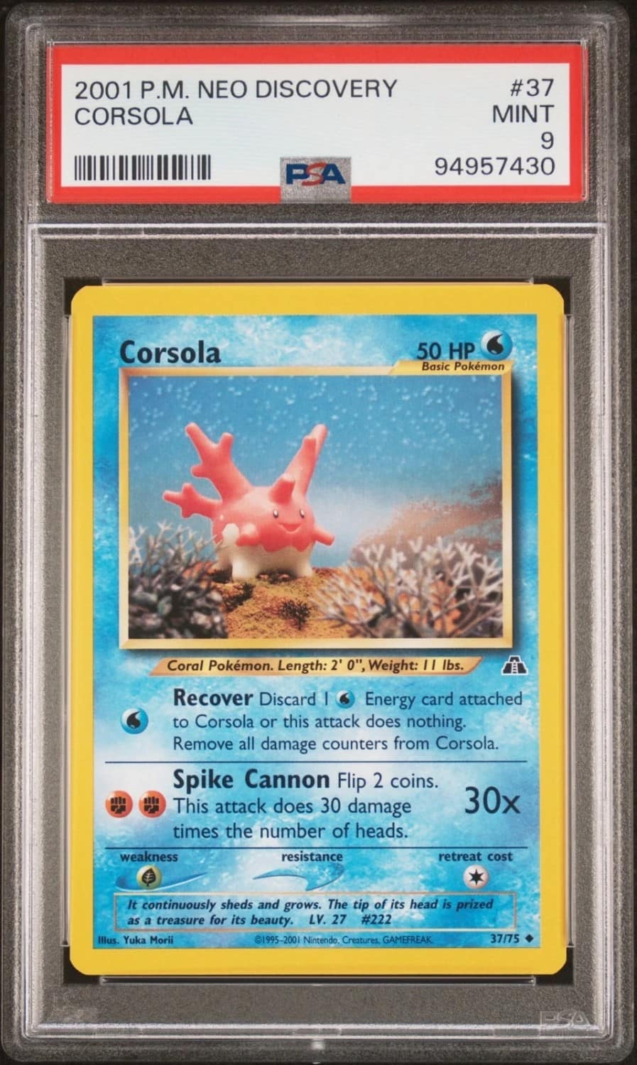Corsola