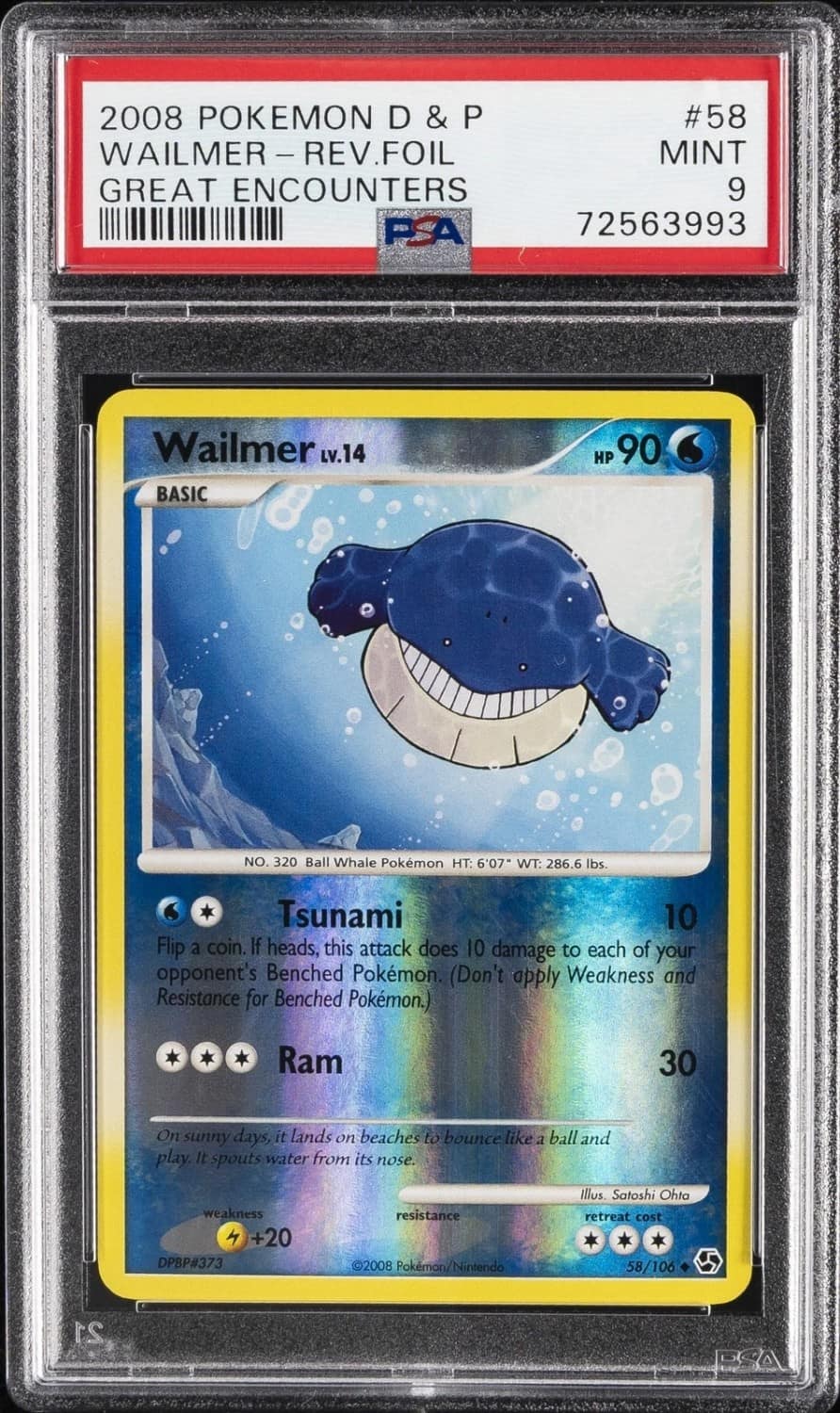 Wailmer