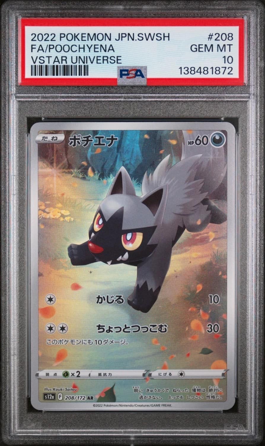 Poochyena