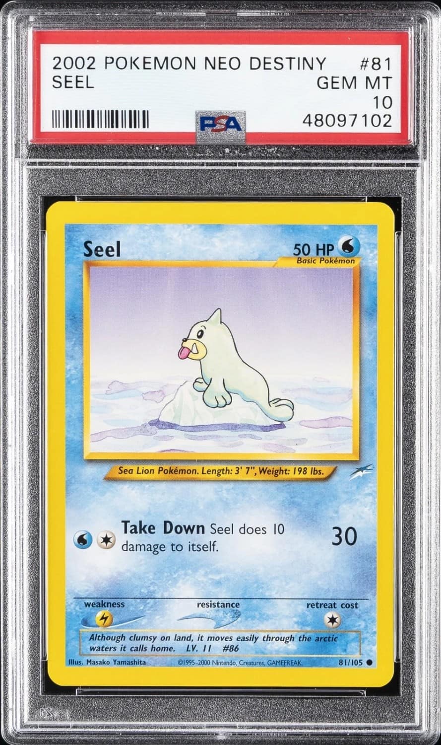Seel