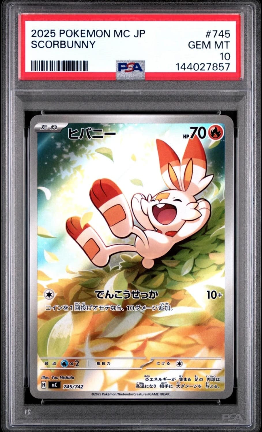 Scorbunny