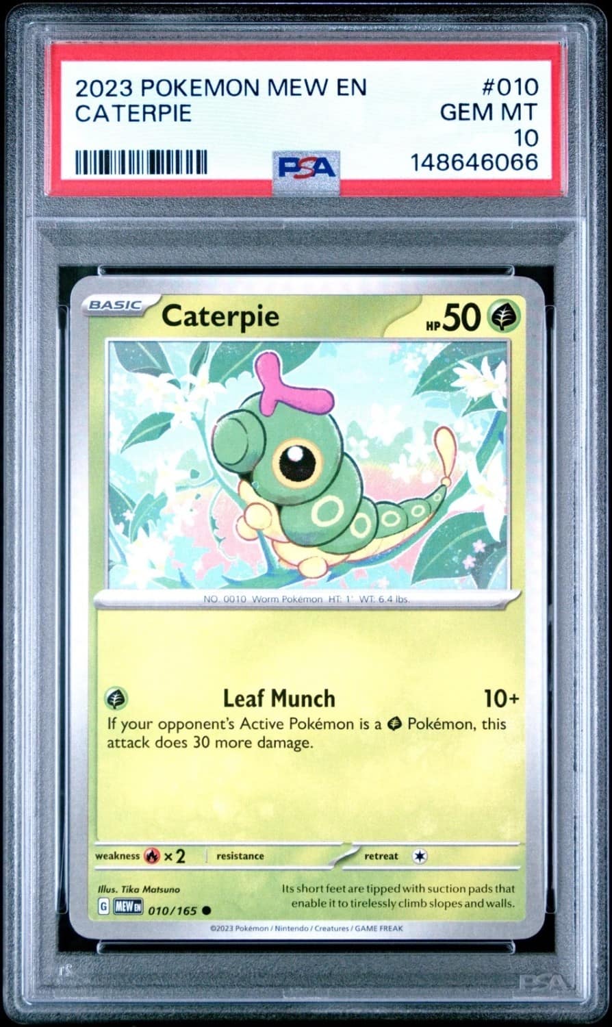 Caterpie