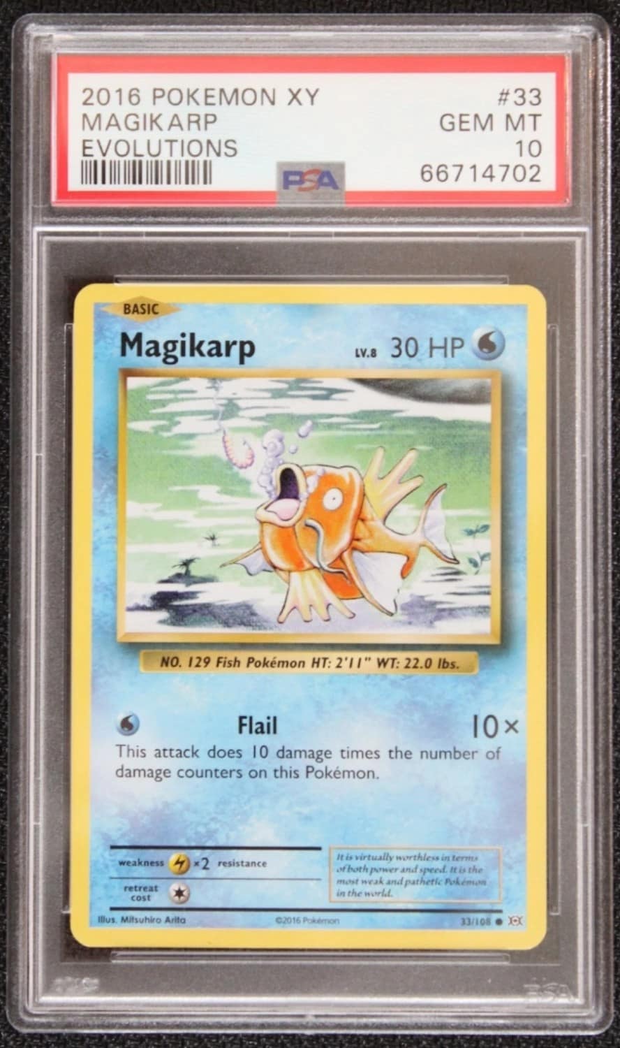 Magikarp