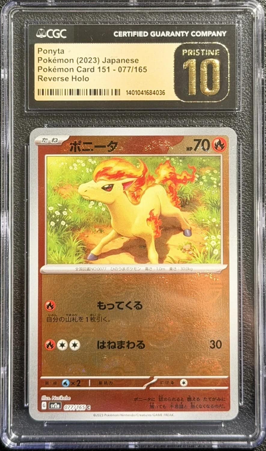 Ponyta