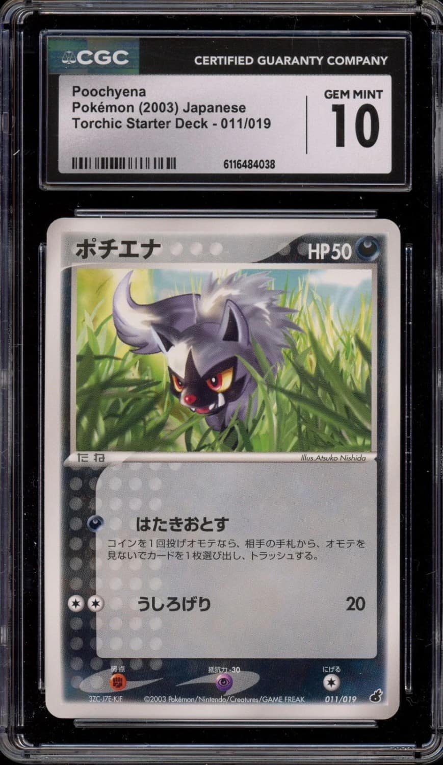 Poochyena