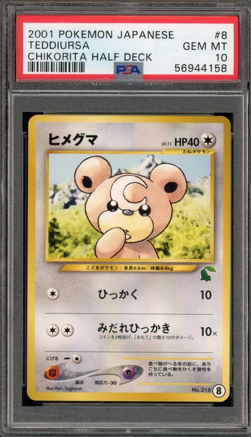 Teddiursa