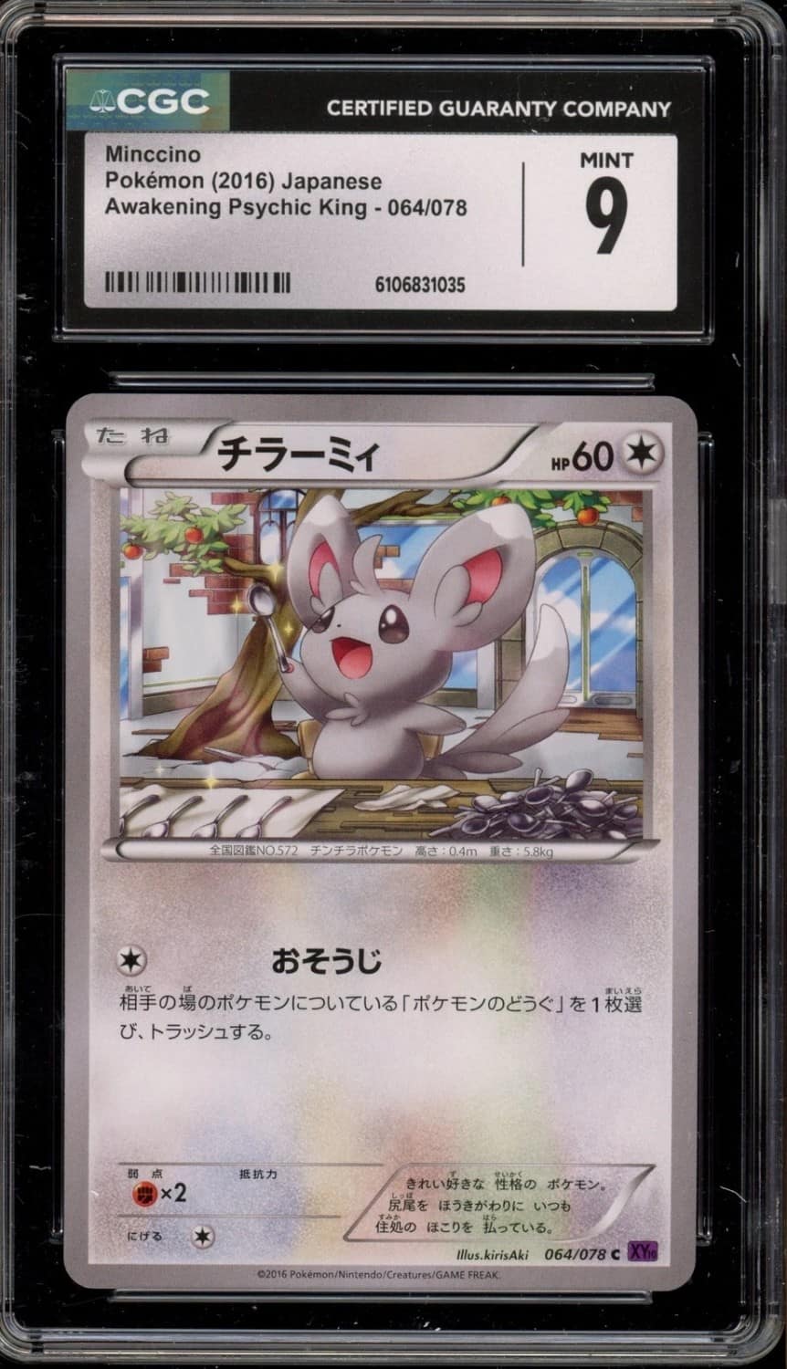 Minccino