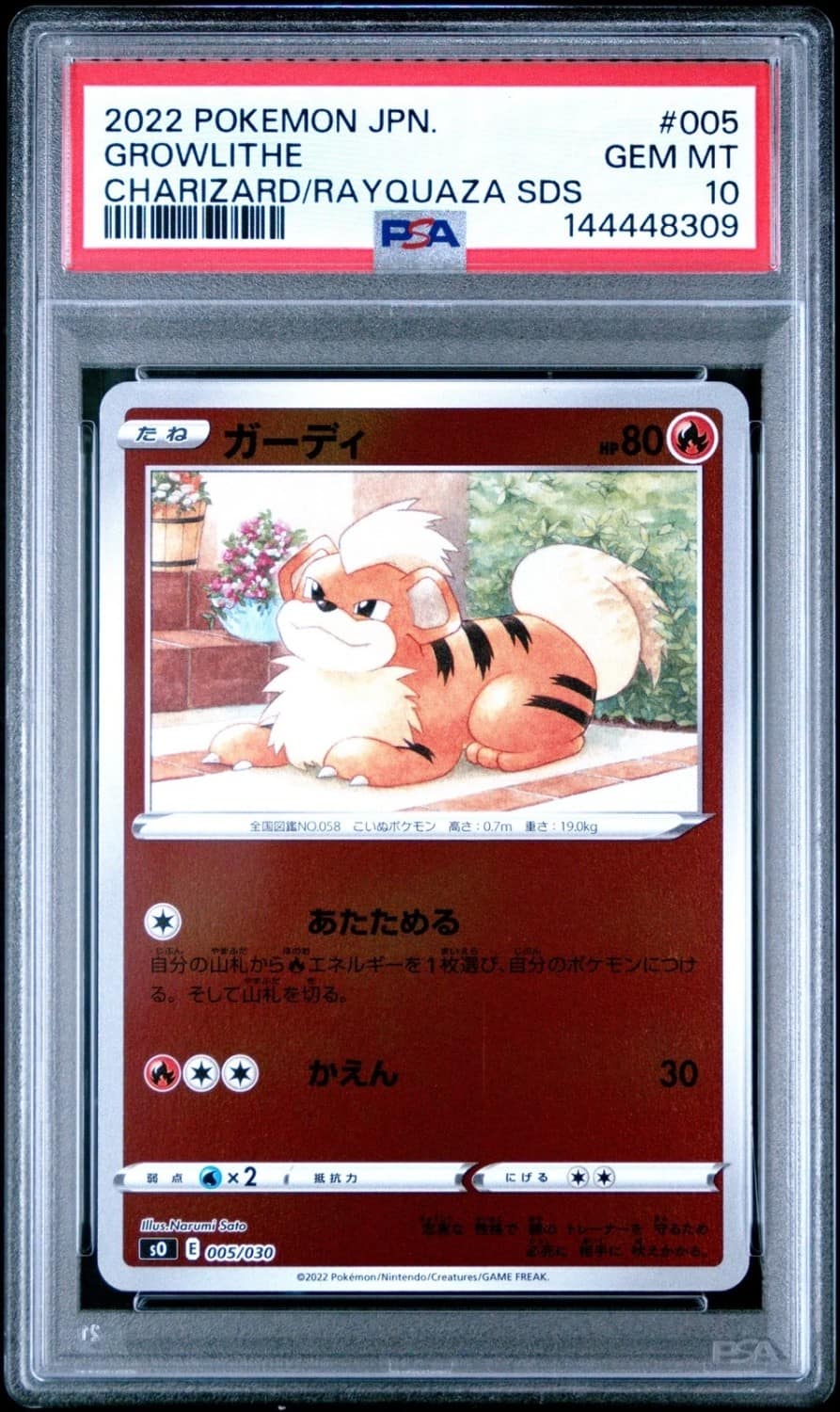Growlithe
