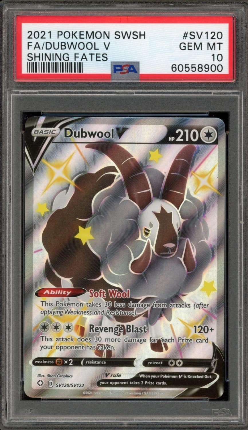 Dubwool V