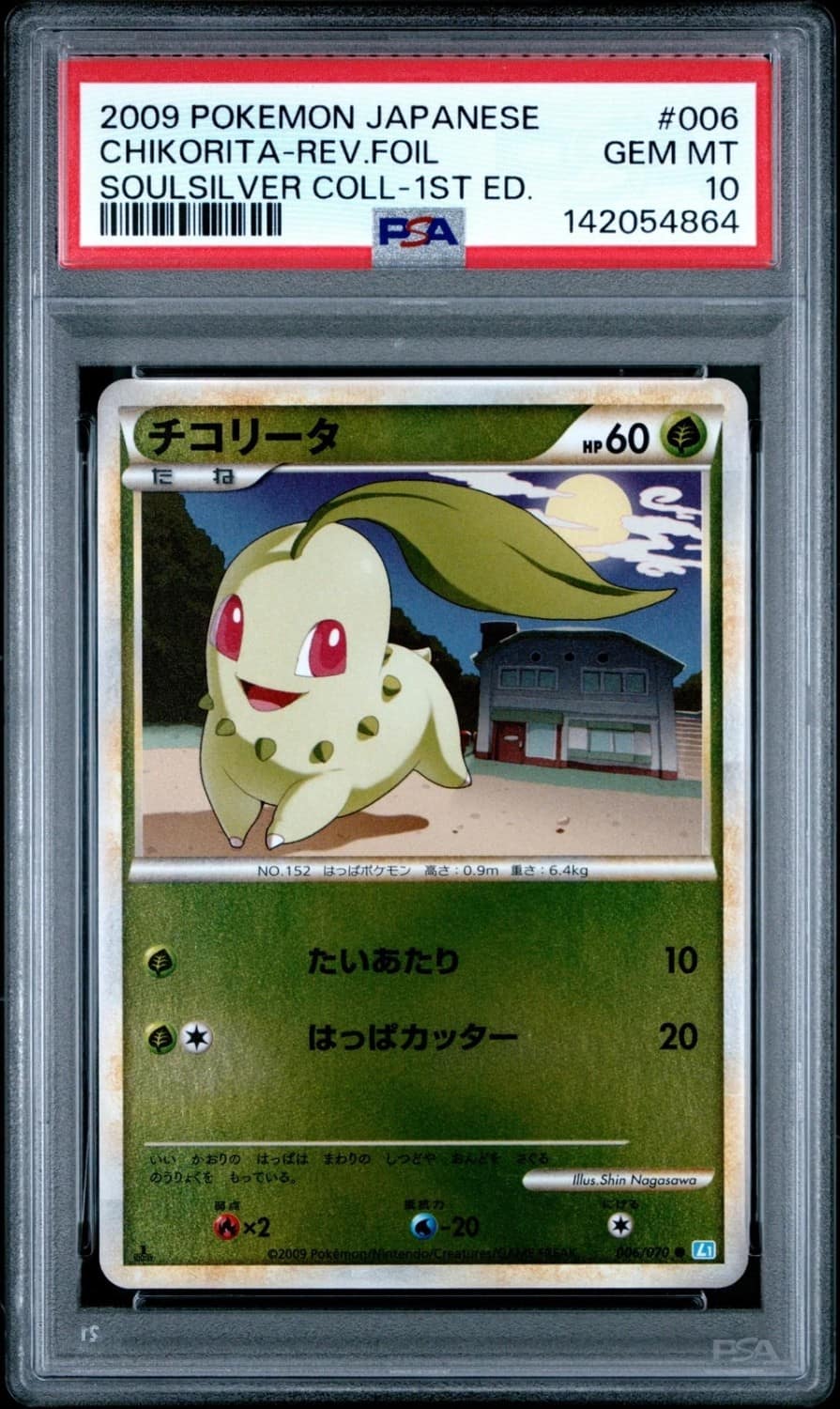 Chikorita