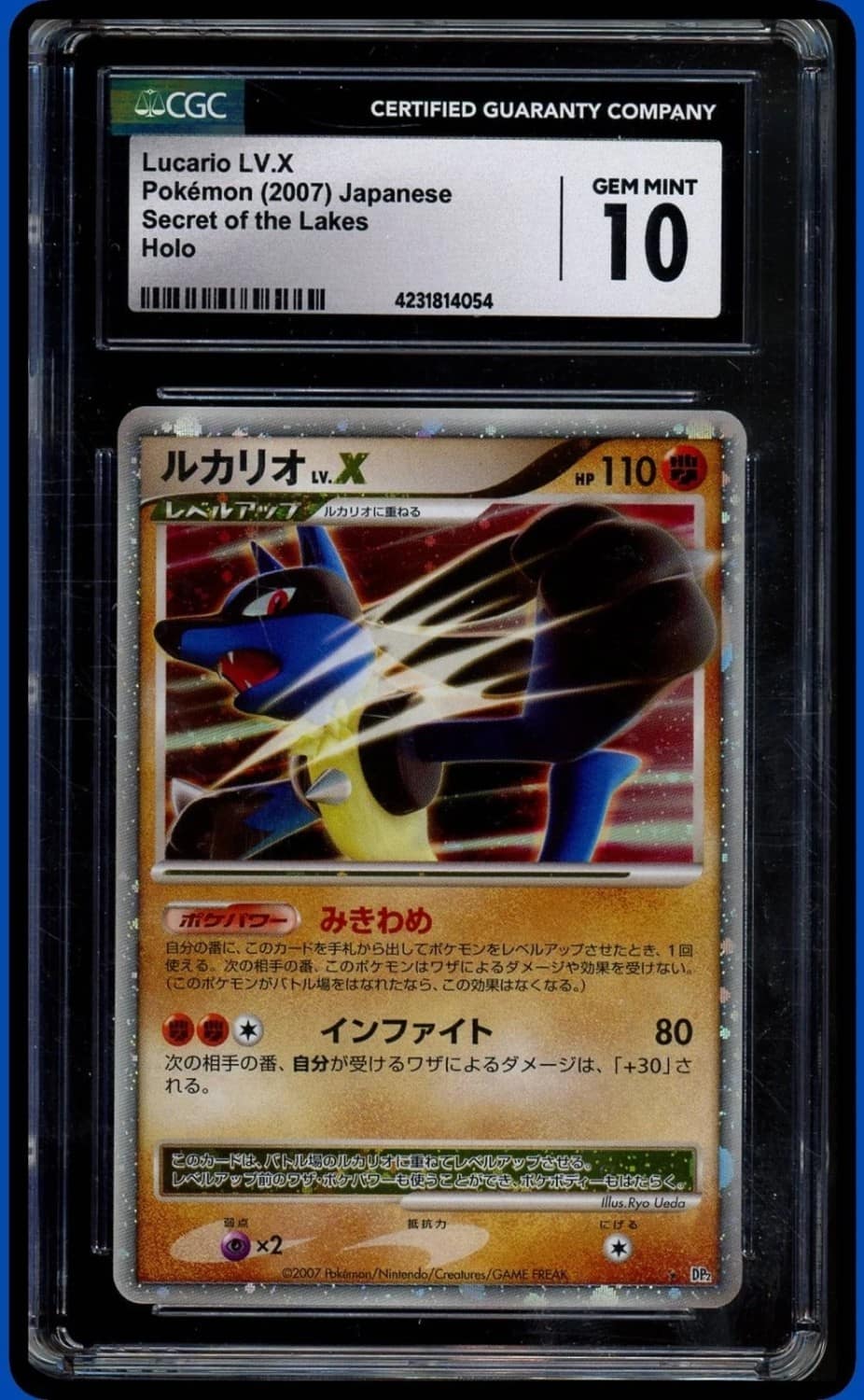 Lucario Lv.x