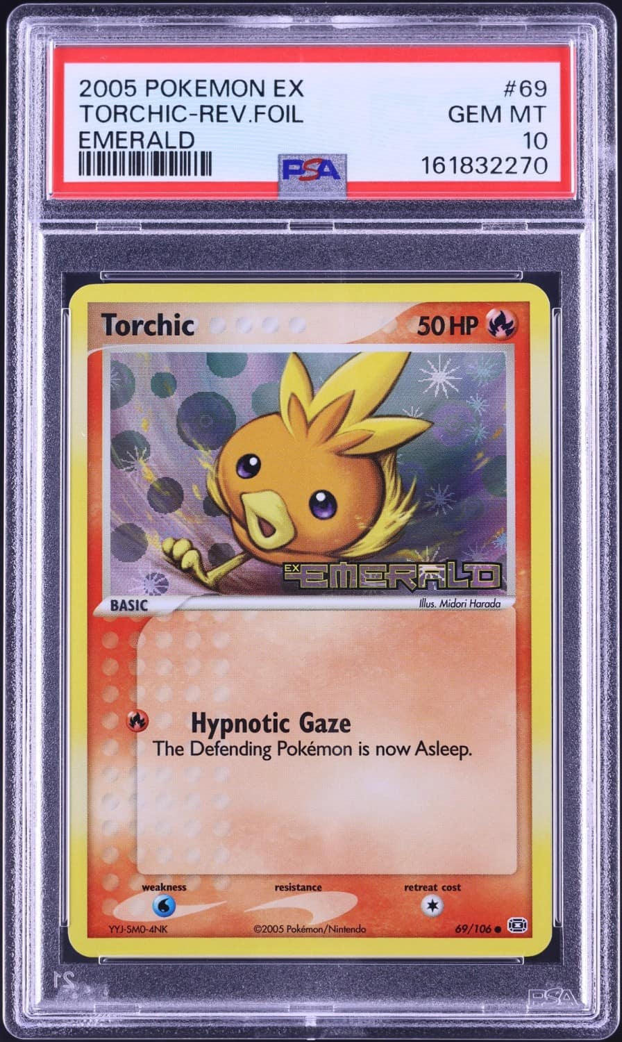 Torchic