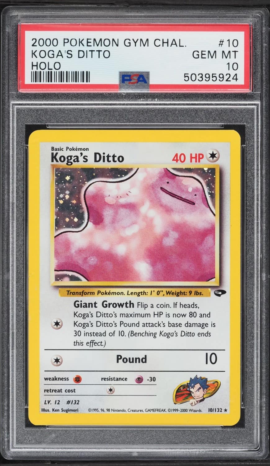 Koga'S Ditto