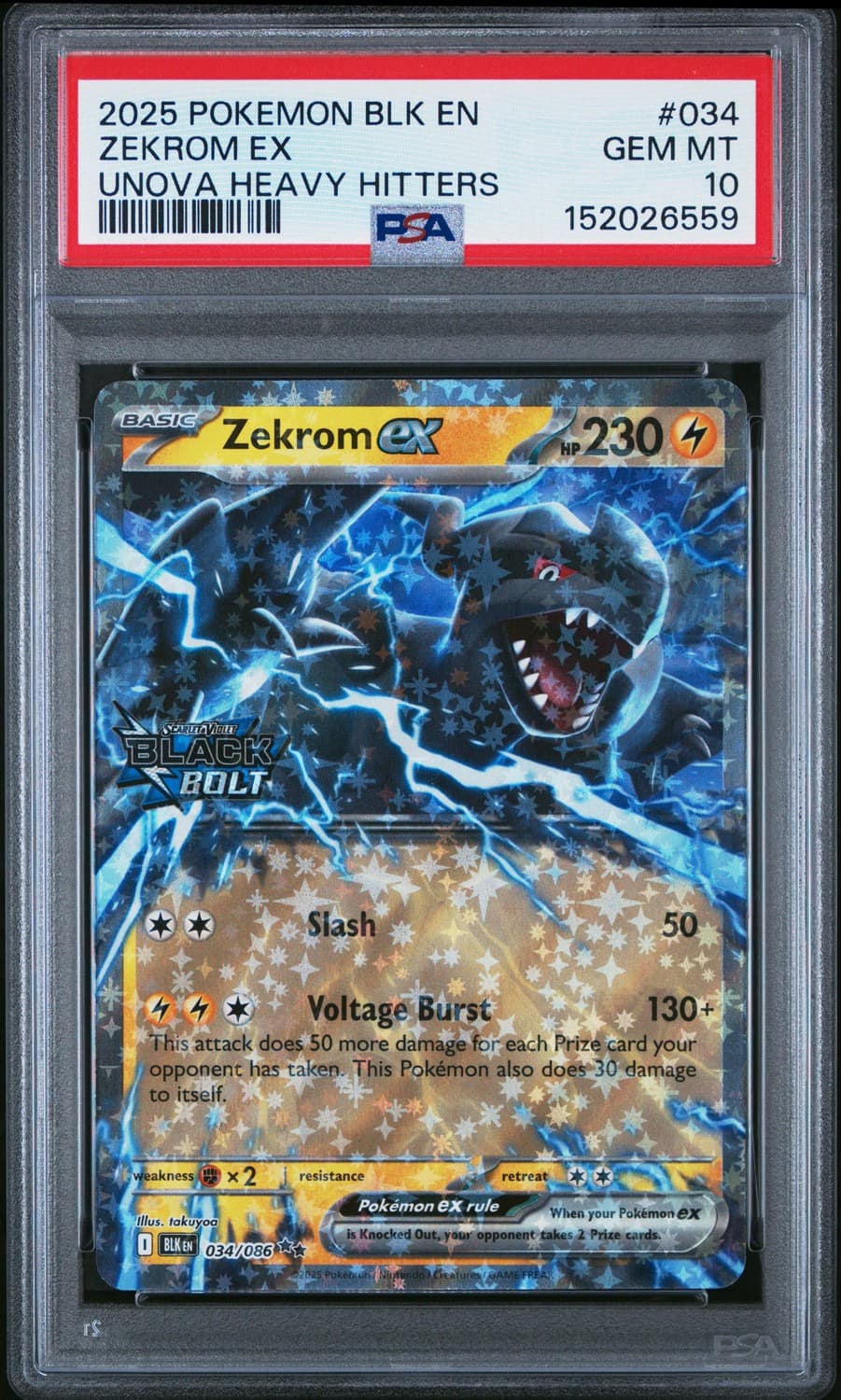 Zekrom Ex