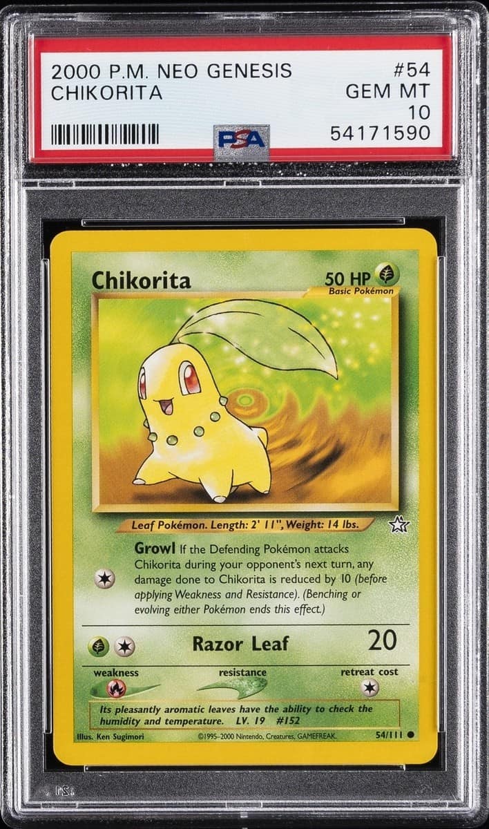 Chikorita