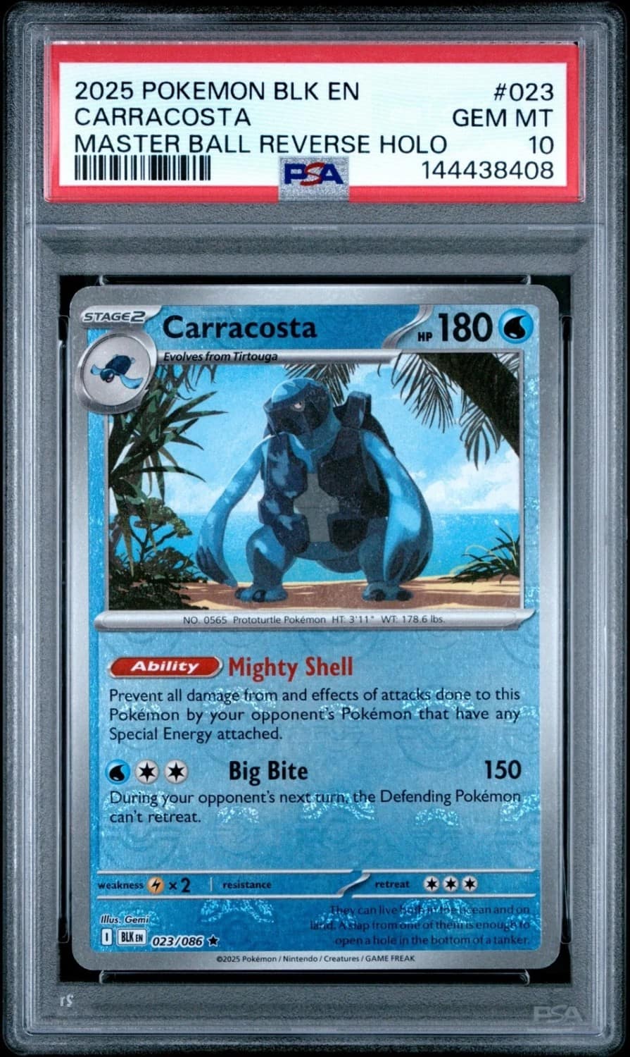 Carracosta