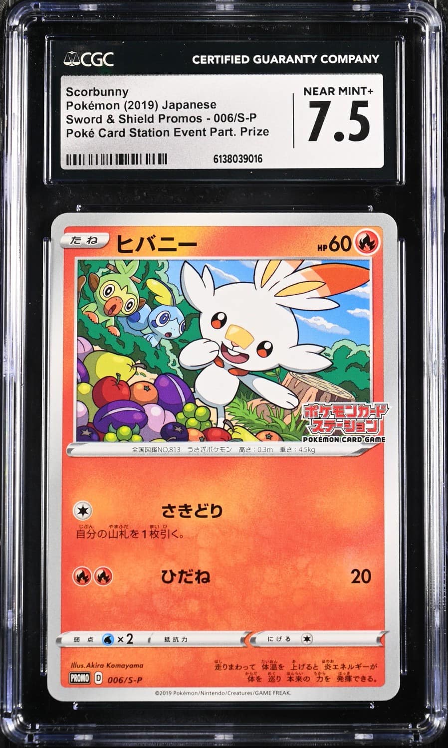 Scorbunny