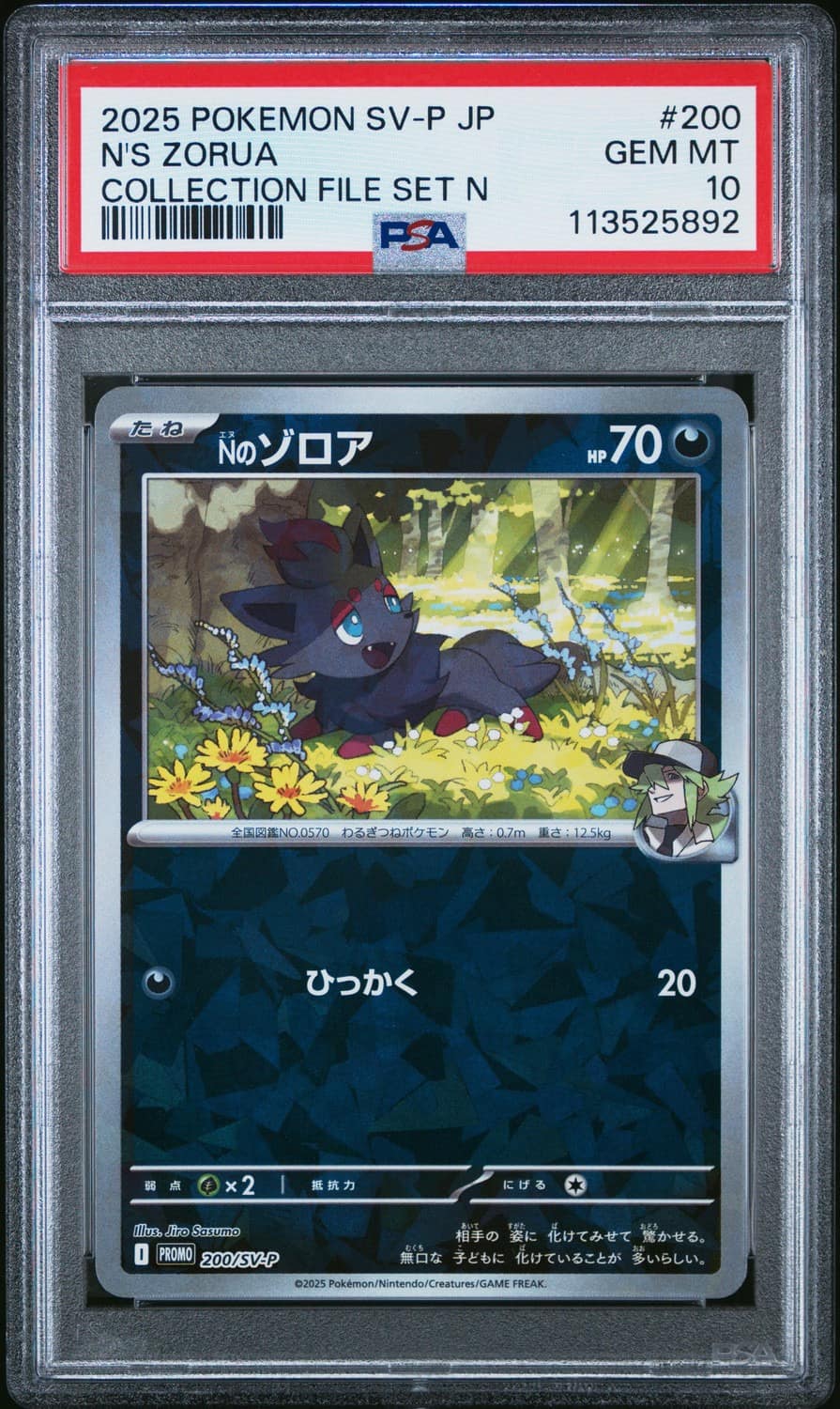 N'S Zorua