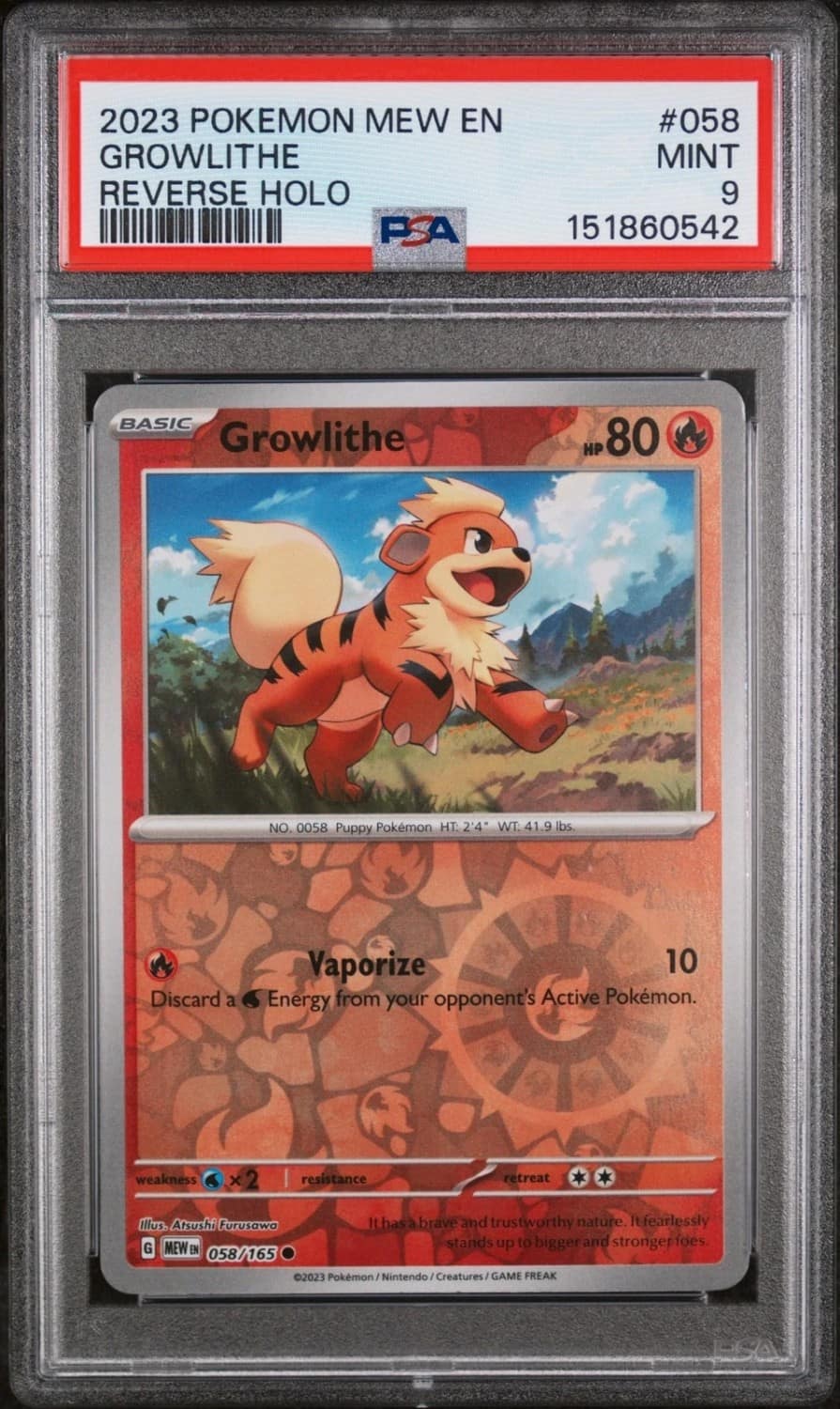 Growlithe