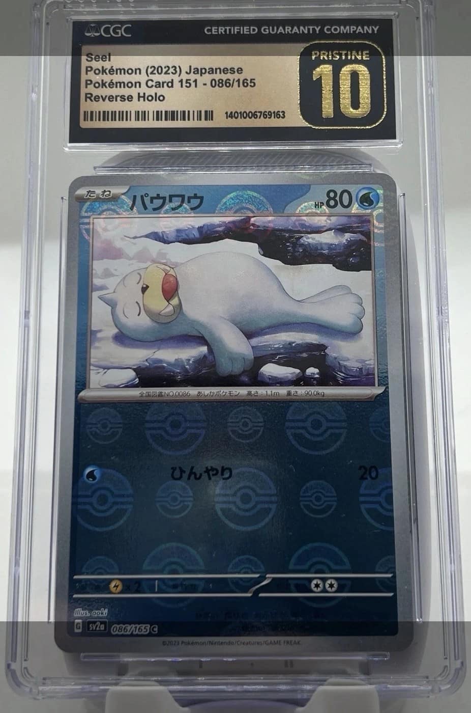 Seel