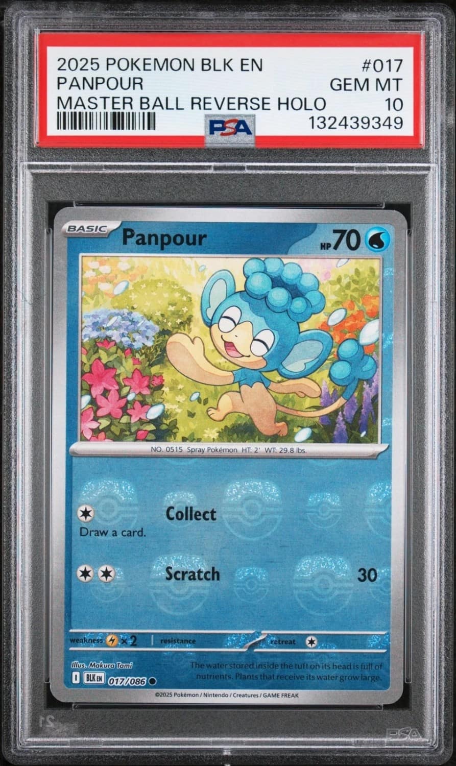 Panpour