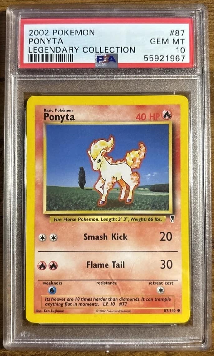 Ponyta