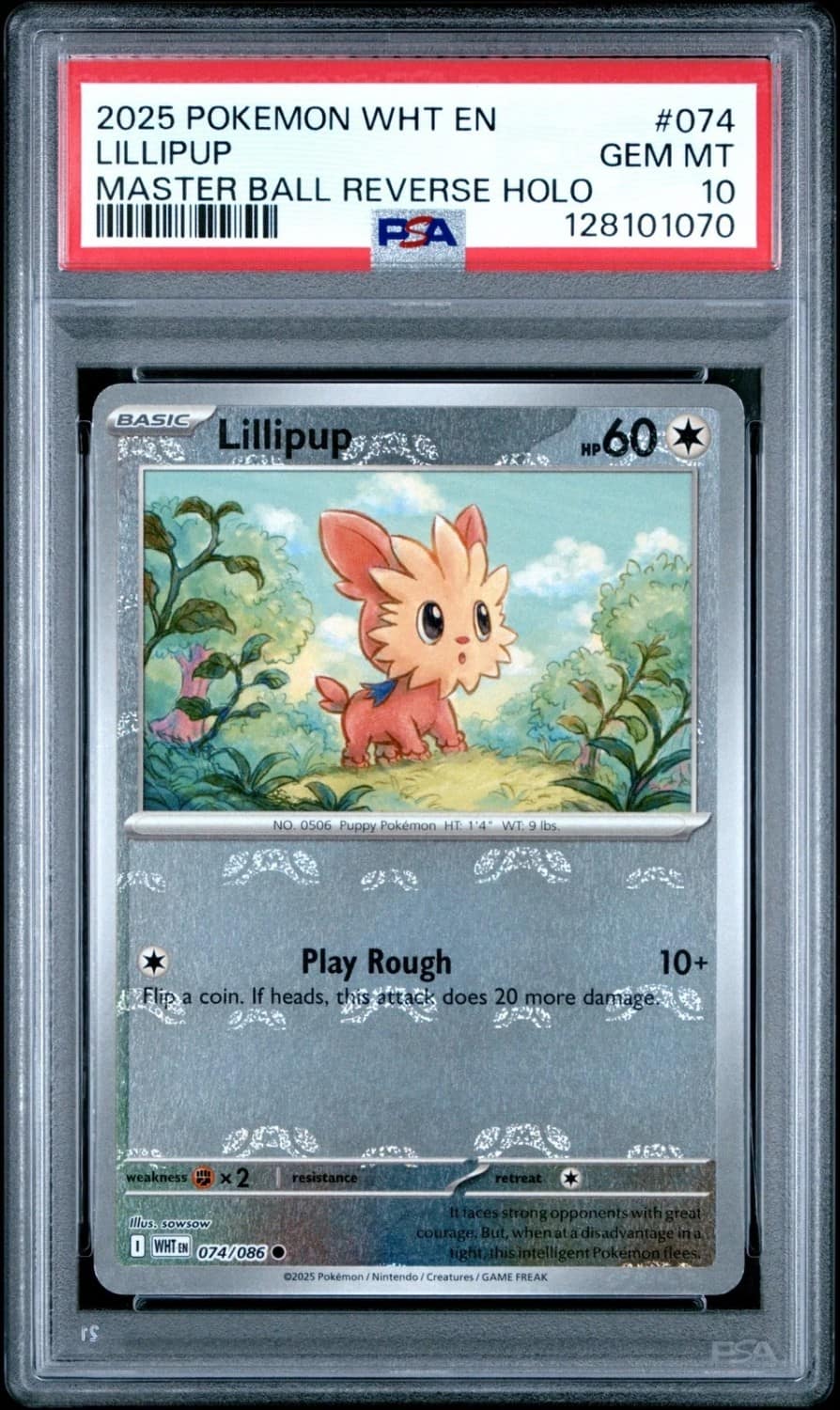 Lillipup
