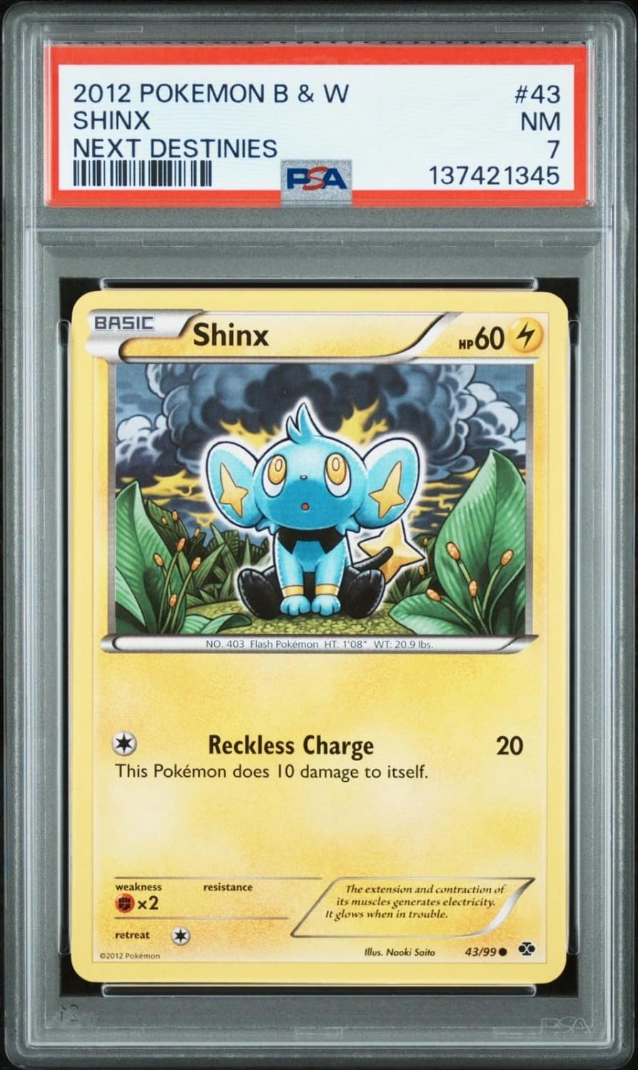 Shinx