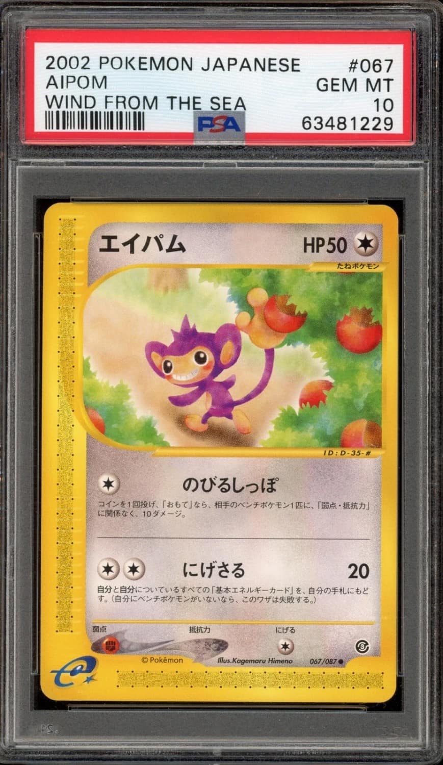 Aipom