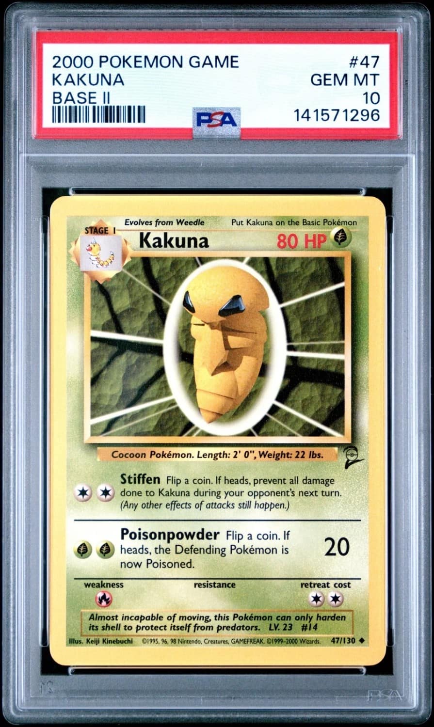 Kakuna