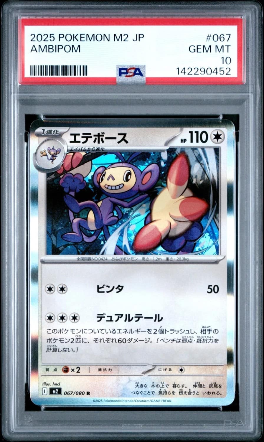 Ambipom