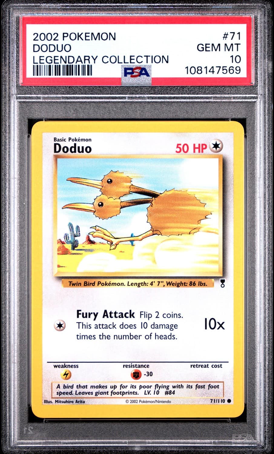 Doduo