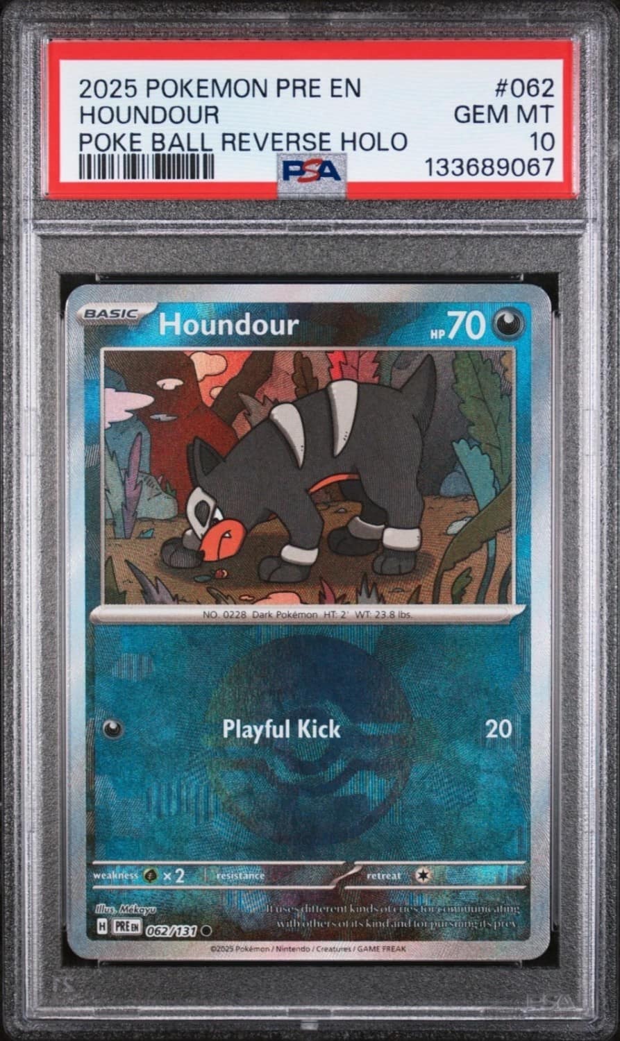 Houndour