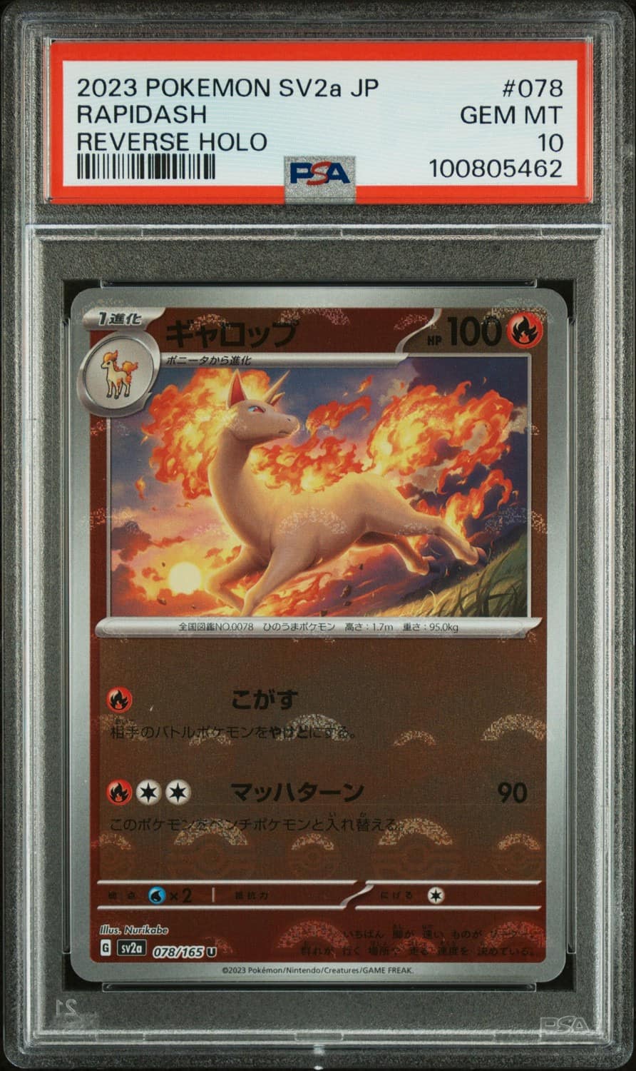Rapidash