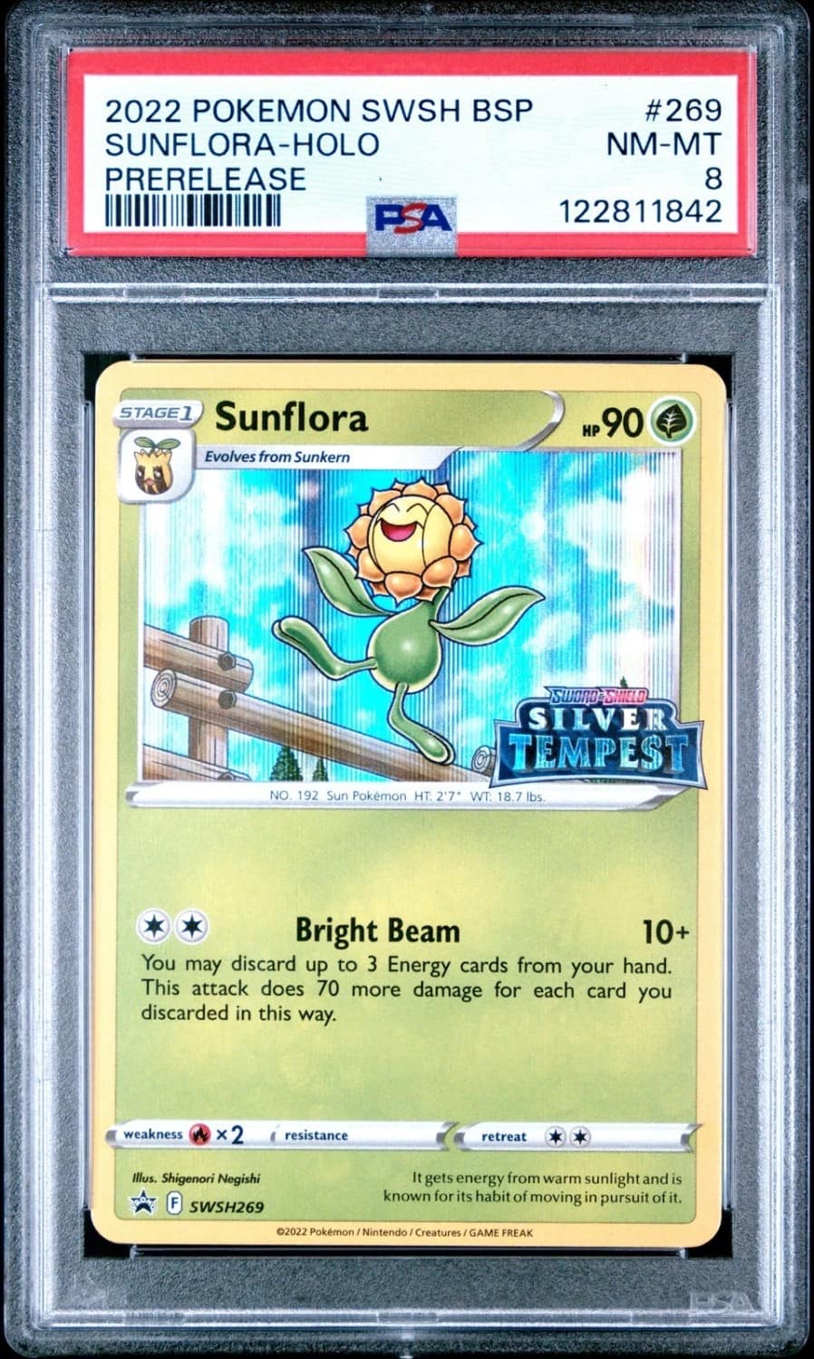 Sunflora