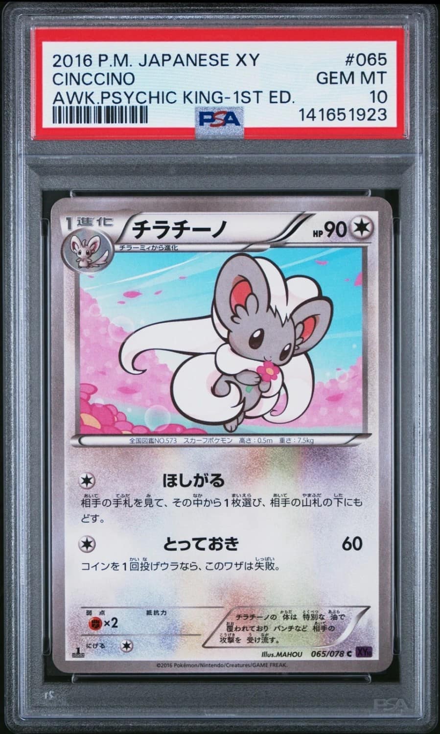 Cinccino