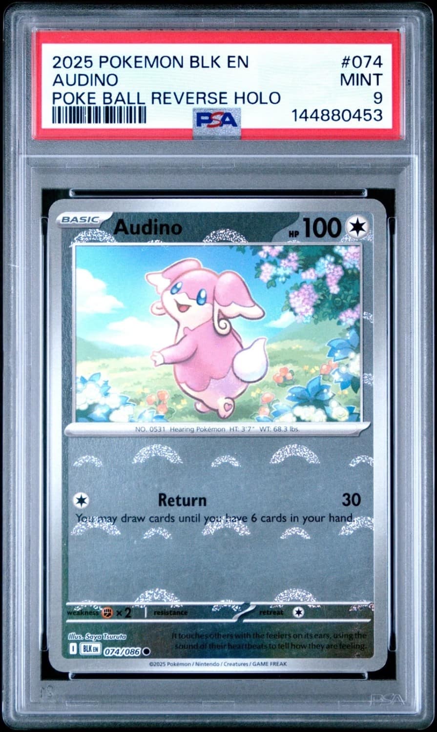 Audino
