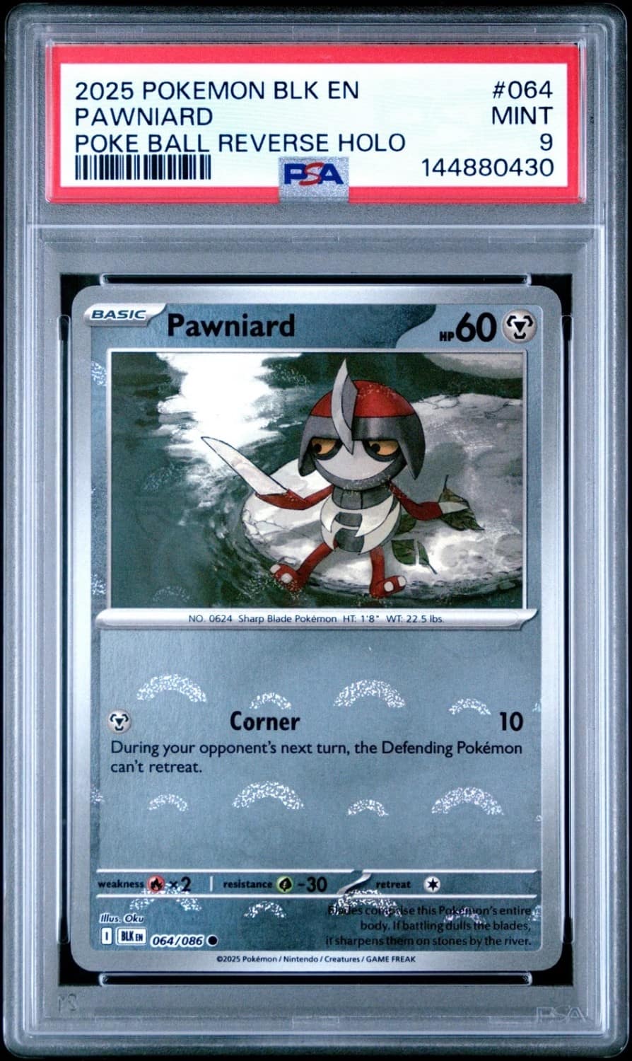 Pawniard
