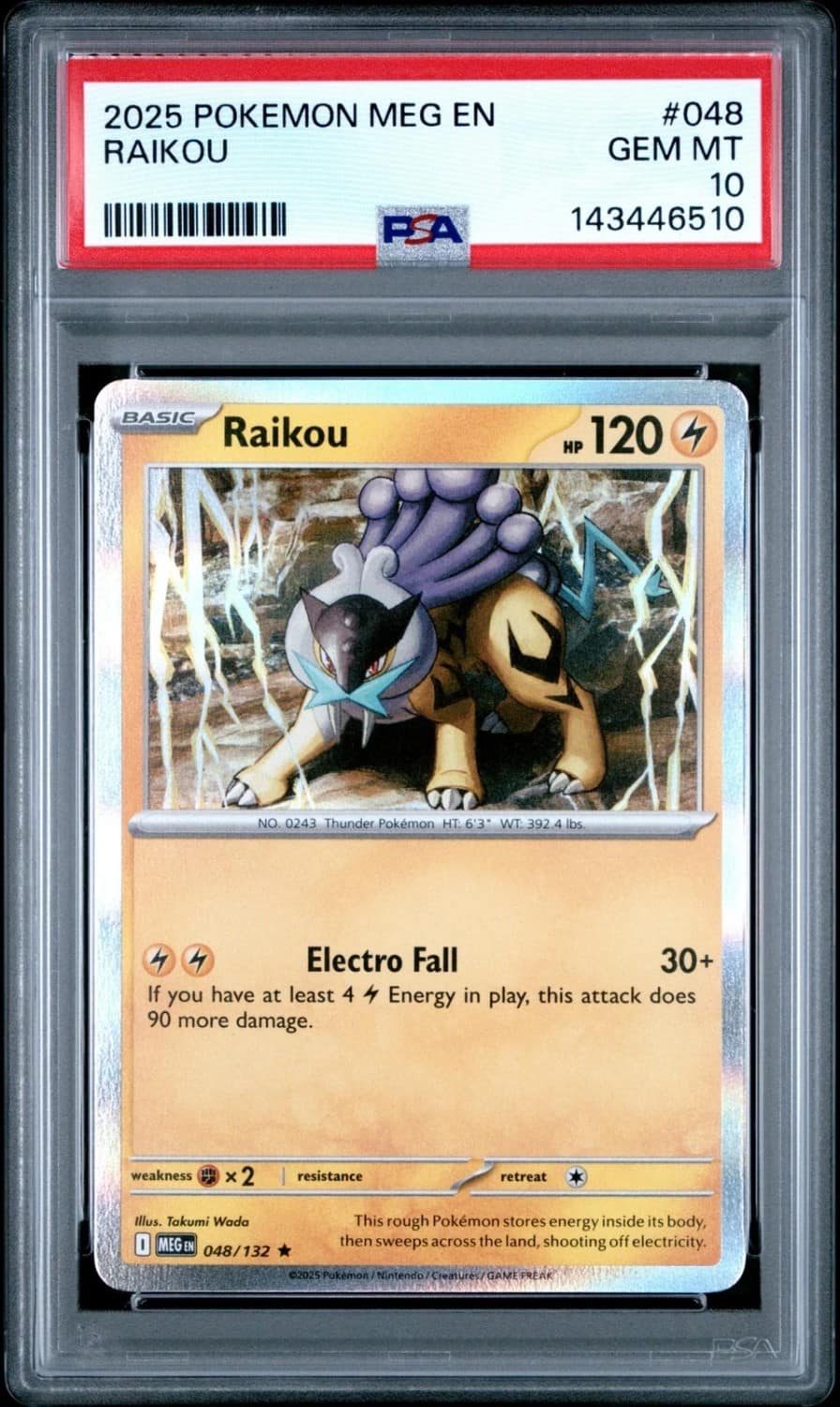 Raikou