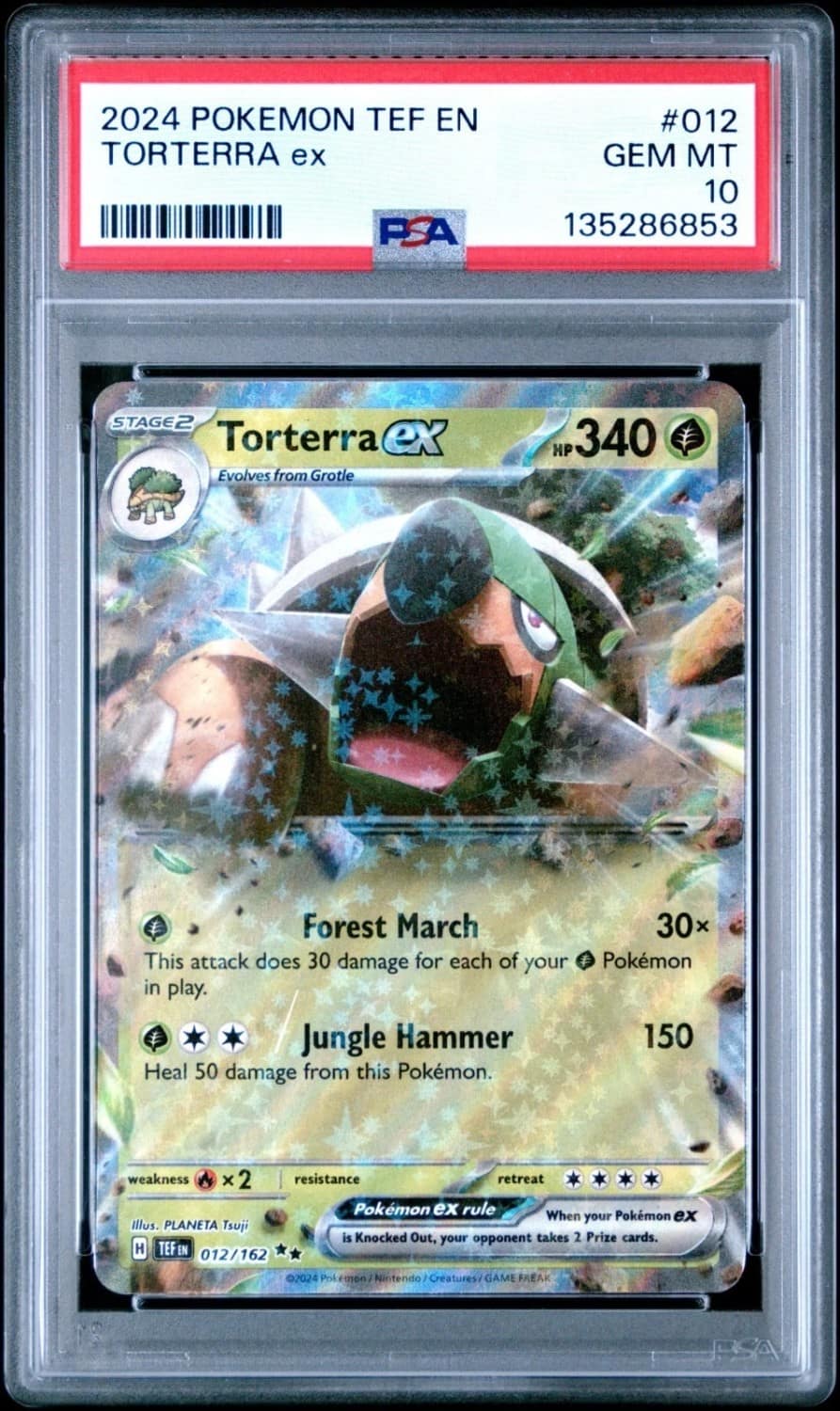 Torterra Ex