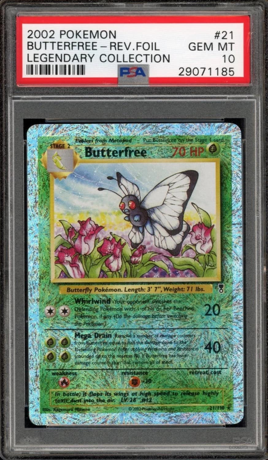 Butterfree