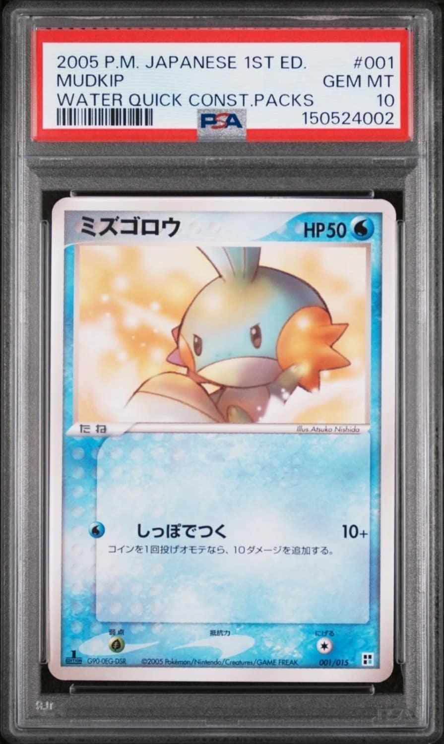 Mudkip