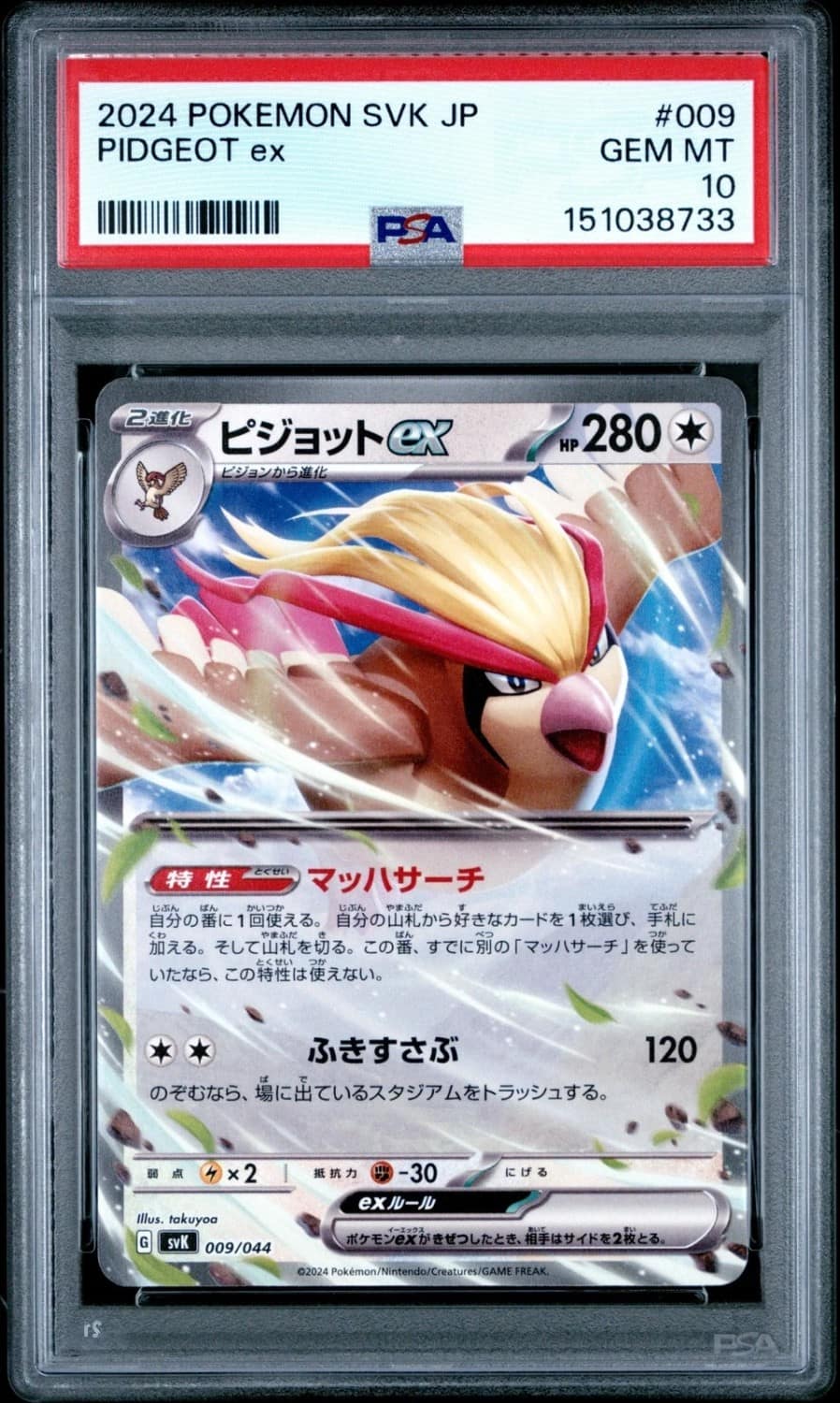 Pidgeot Ex