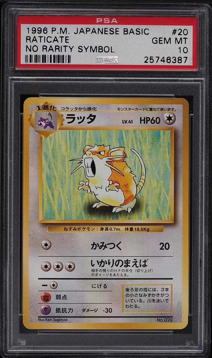 Raticate