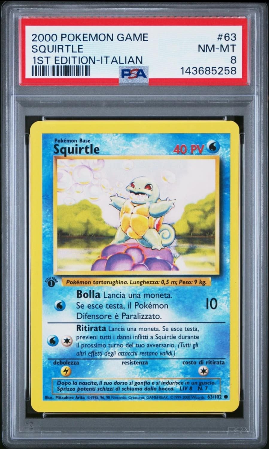 Squirtle