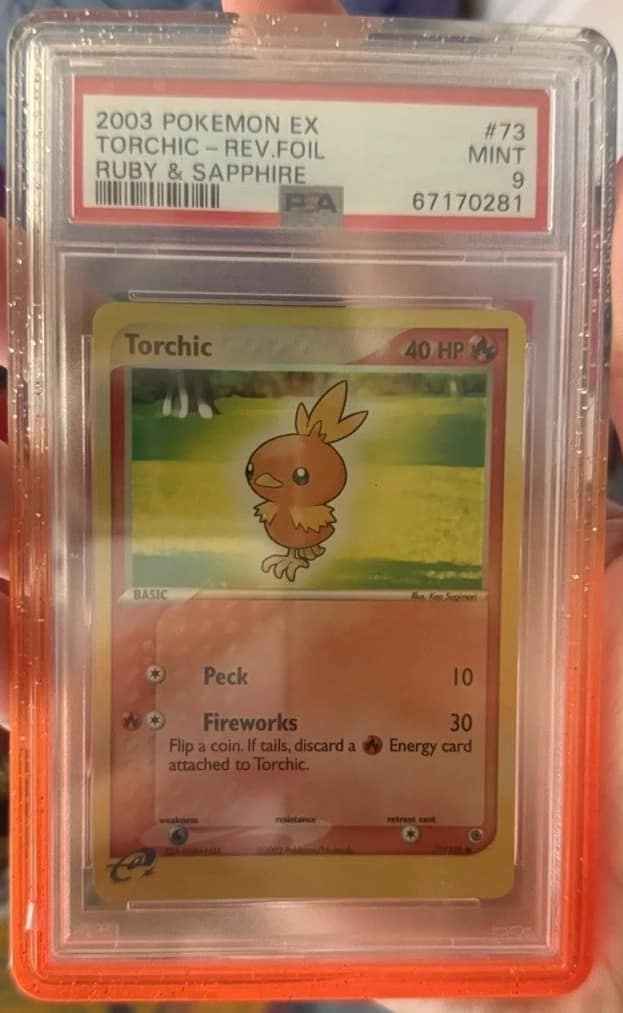Torchic