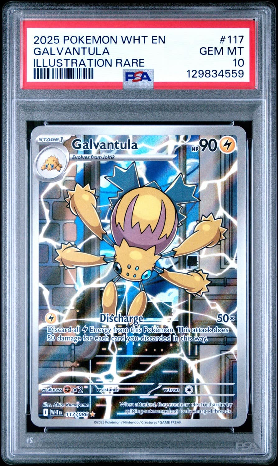 Galvantula